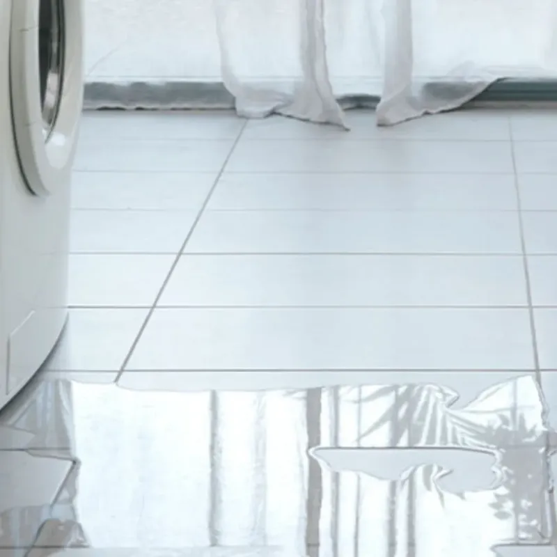 Appliance Leak Cleanup in Destin, FL